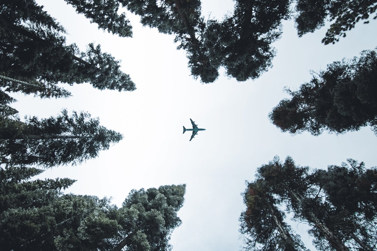 Protected: Rethinking Travel: designing habits for greater sustainability